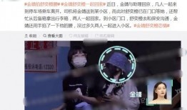 爆料金靖恋情视频大全,盘点甜蜜瞬间，揭秘明星甜蜜爱情故事