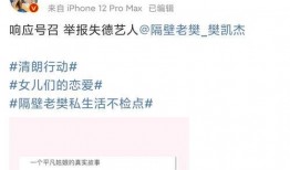 隔壁小王被爆料视频,揭秘视频背后的惊人真相