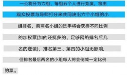 最新爆料环节消息,最新爆料环节背后的惊人内幕