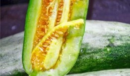 南宁吃瓜网红是谁啊,揭秘南宁本地热门吃瓜达人