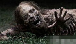 美国僵尸在线观看,在线惊悚盛宴，带你领略末世求生之旅