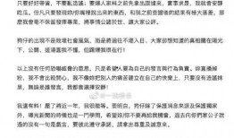 狗仔怎样爆料新闻事件,独家爆料新闻事件幕后真相