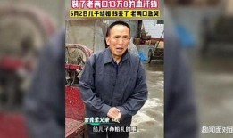 洛南爆料最新,揭秘娱乐圈惊天内幕，明星真实面目大曝光！
