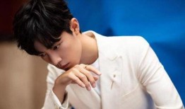 肖战最新头条爆料,揭秘演艺圈幕后真相