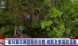 英国小王子爆料视频大全,揭秘王室生活点滴