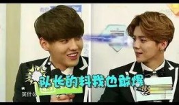 圈内爆料吴亦凡和鹿晗,揭秘娱乐圈的兄弟情谊与争议风云