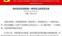 中国年轻人爆料新闻报道,中国年轻人爆料新闻背后的真相与反思