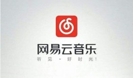 爆料大鹅解说视频网易云,网易云独家爆料，带你揭秘音乐背后的故事