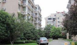 杭州新花园爆料最新消息,揭秘神秘项目背后的故事