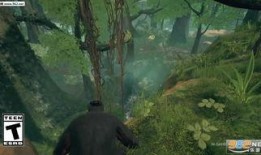 最新先祖爆料新闻,家族秘史与传奇故事大公开