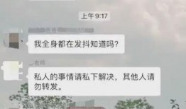 吃瓜vx群免费聊天记录,免费聊天记录背后的精彩瞬间”