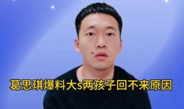 台湾葛思琪爆料新闻,揭秘事件背后真相