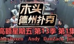 黑山事件爆料视频播放大全,视频播放大全深度解析