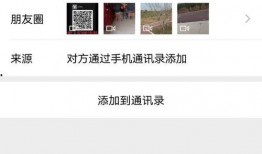 宠物博主爆料视频下载,下载背后的故事与真相