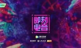 音乐大爆料视频,揭秘热门歌手幕后故事与精彩瞬间