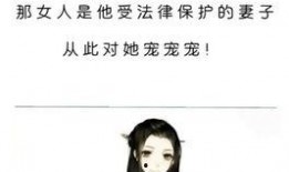 小说推文娱乐圈爆料,揭秘明星背后的秘密与真相