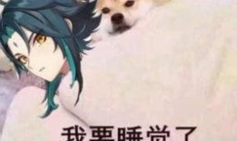 原神最新爆料内鬼是谁呀,内鬼身份大揭秘！