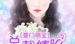 娱乐的爆料萌宝女主小说,娱乐爆料下的甜蜜爱情