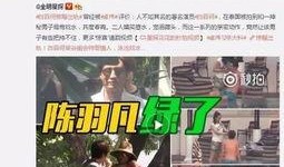 黑山事件爆料视频播放大全,视频播放大全深度解析