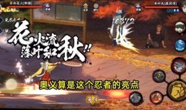 返场b忍者爆料最新一期,揭秘忍者界神秘事件