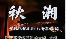秋潮向晚天在线观看,在线观看，感受诗意人生画卷