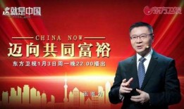 东方卫视新闻爆料电话,揭秘新闻爆料电话背后的故事