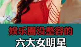 娱乐圈爆料故事大全免费阅读,揭秘爆料故事大全