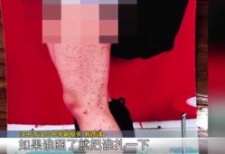 血点 在线观看,揭秘神秘血案背后的惊悚真相