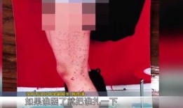 血点 在线观看,揭秘神秘血案背后的惊悚真相