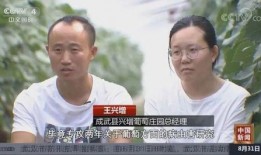 中国年轻人爆料新闻报道,中国年轻人爆料新闻背后的真相与反思