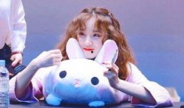 宋雨琦爆料男爱豆视频在线观看,在线观看引发热议