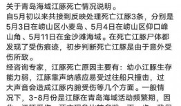 湖北王先生爆料新闻事件,揭开神秘新闻事件真相