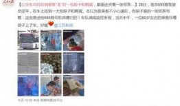 luodai在线观看,揭秘神秘古墓探险之旅