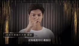 绝密内情爆料视频大全集,视频大全集深度解析