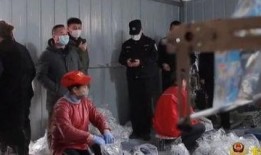 化肥厂爆料事件视频大全,揭秘视频大全背后的真相与争议