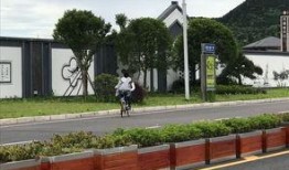 南充市新闻爆料,揭秘事件背后真相