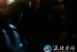 最新爆料斩虎事件视频,惊心动魄的生死较量