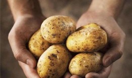 土豆bug网红吃瓜视频,揭秘娱乐圈幕后真相