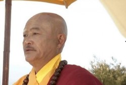 朋友曾经吃瓜网红被告,一场网络舆论的风暴与法律审判的较量”