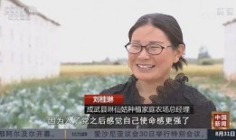 中国年轻人爆料新闻报道,中国年轻人爆料新闻背后的真相与反思