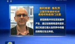 合肥新冠病毒爆料视频,揭秘疫情下的真实情况