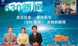 广州电视新闻爆料,重大事件引发社会关注