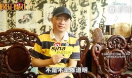 杨子家世爆料视频在线观看,独家爆料视频带你走进豪门生活