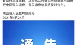 洛南爆料最新,揭秘娱乐圈惊天内幕，明星真实面目大曝光！