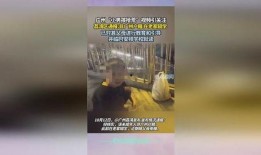 荔湾家长爆料视频播放,揭秘校园安全问题