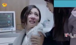 天注定在线观看免费,揭秘命运交织的惊心动魄之旅