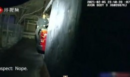 爆料美国警方执法视频,暴力执法引发社会热议