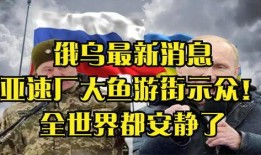 俄乌大鱼爆料最新消息,大鱼爆料揭示战局新动向