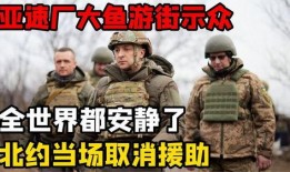 俄乌大鱼爆料最新消息,大鱼爆料揭示战局新动向