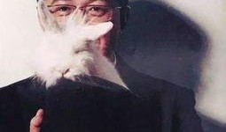 封丹最新爆料新闻视频,揭秘娱乐圈惊人内幕！